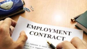 Employment Contract Writing